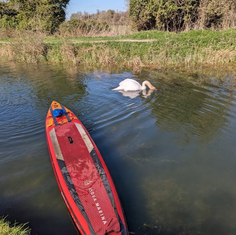 Paddleboard Hire from Canal Fields, Berkhamsted, photo 5