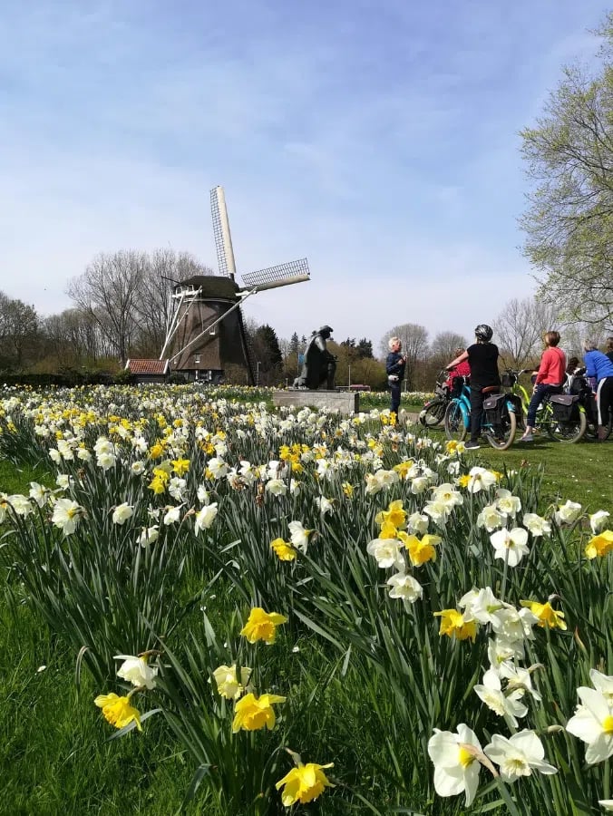Amsterdam Countryside North E-Bike Tour, photo 4
