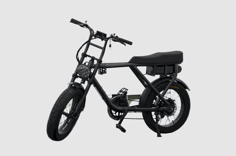 Fat E-Bike Rental in Barcelona, photo 5