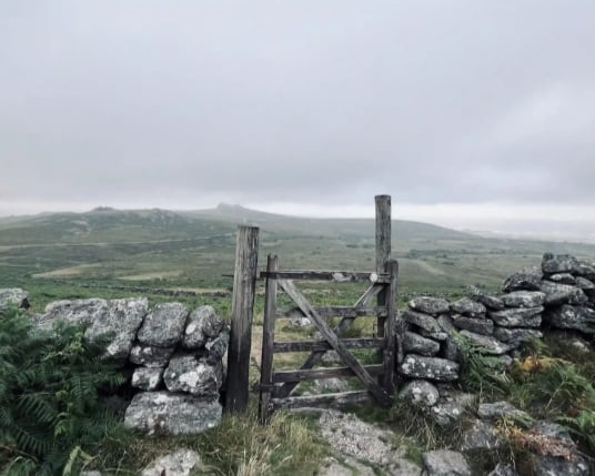 HALF DAY Guided Walking Tours on Dartmoor, photo 4