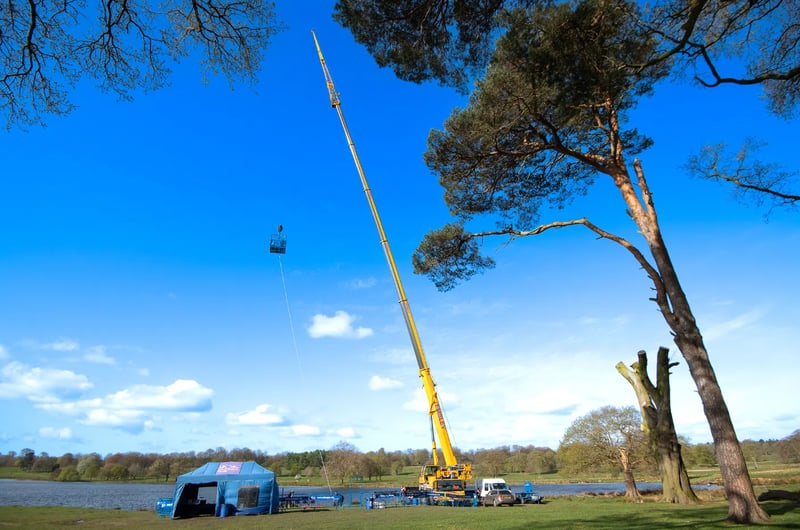 300ft Bungee Jump in Manchester Tatton Park, photo 3
