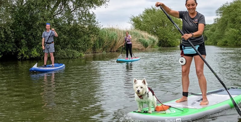 Learn to SUP n PUP Session in Worcestershire gallery 4