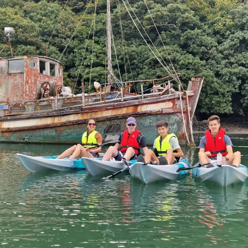 Kayak Tours of Milford Shoreline, photo 3
