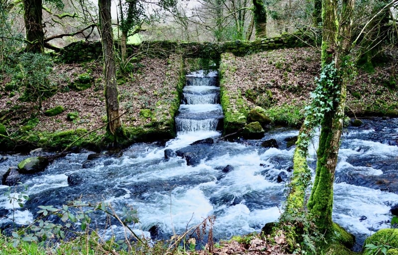 Dartmoor Guided Walking Tours Exploring History and Nature, photo 2