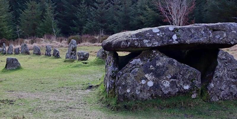Dartmoor Guided Walking Tours Exploring History and Nature, photo 3