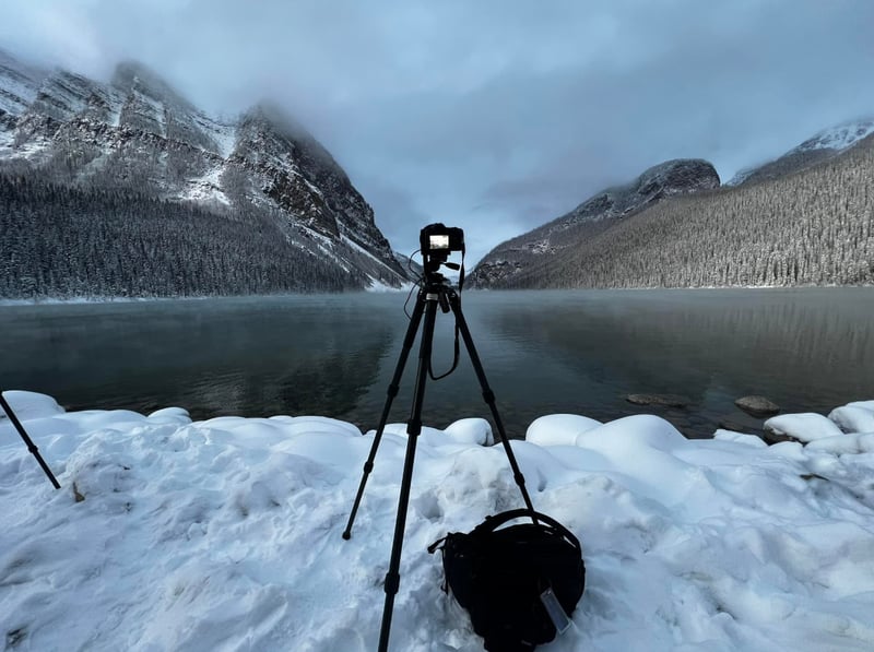 Private Winter Wildlife and Landscape Photography Safari in Yellowstone National Park, photo 3