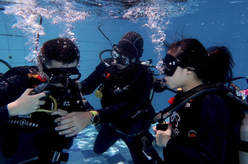 PADI Open Water Course – Learn to Dive in Sulawesi, photo 2