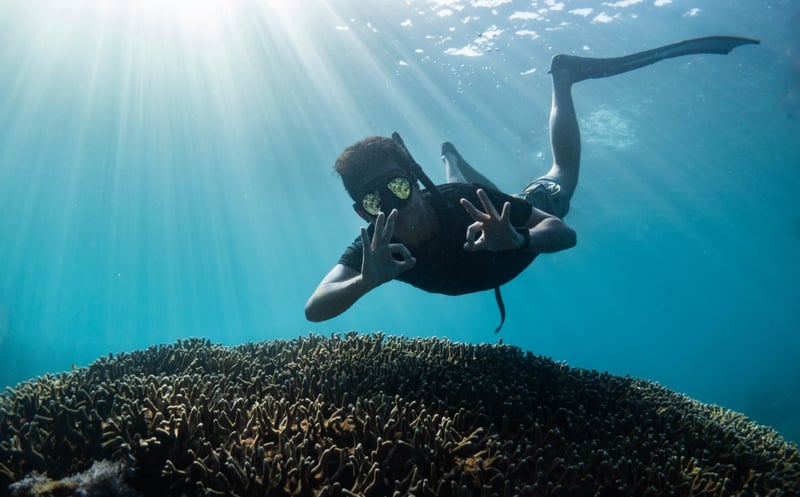AIDA Level 1 Freediving Course in Sulawesi, photo 2
