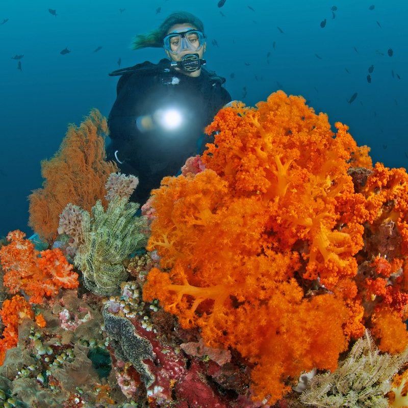 AIDA Level 2 Freediving Course in Sulawesi, photo 2