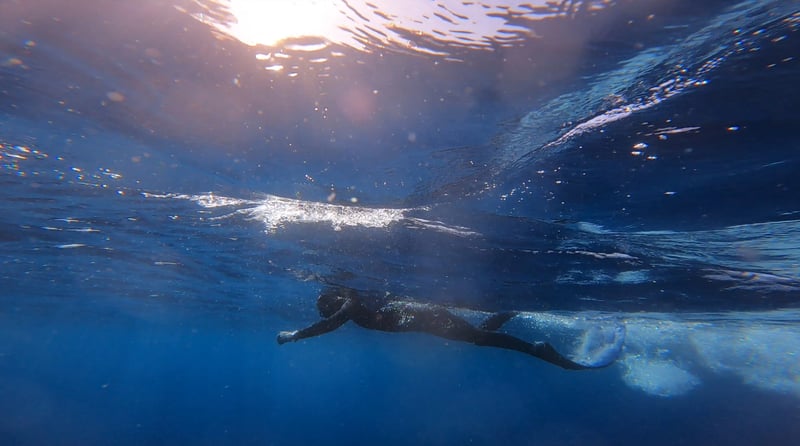Introduction to Freediving in Lanzarote gallery 5