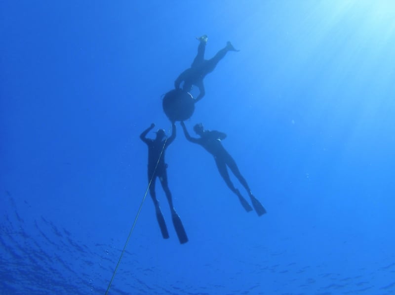 Introduction to Freediving in Lanzarote, photo 2