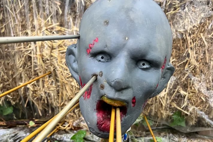 Zombie Woodland Archery Experience in Dorset, photo 2