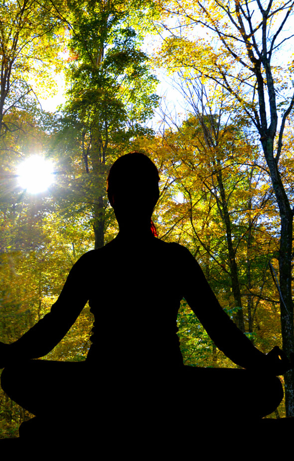 Adults-Only Woodland Sauna Day and Bushcraft Retreat in Wrexham, photo 3