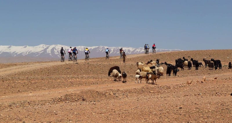 8-Night Atlas to Sahara Desert MTB Tour, photo 3