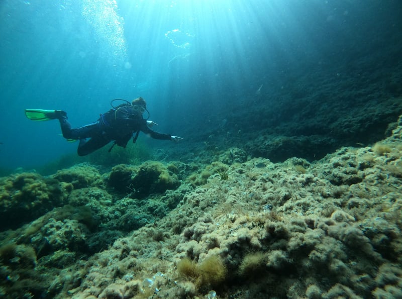 PADI Advanced Open Water Diver Course in Porto Petro, Mallorca, photo 4