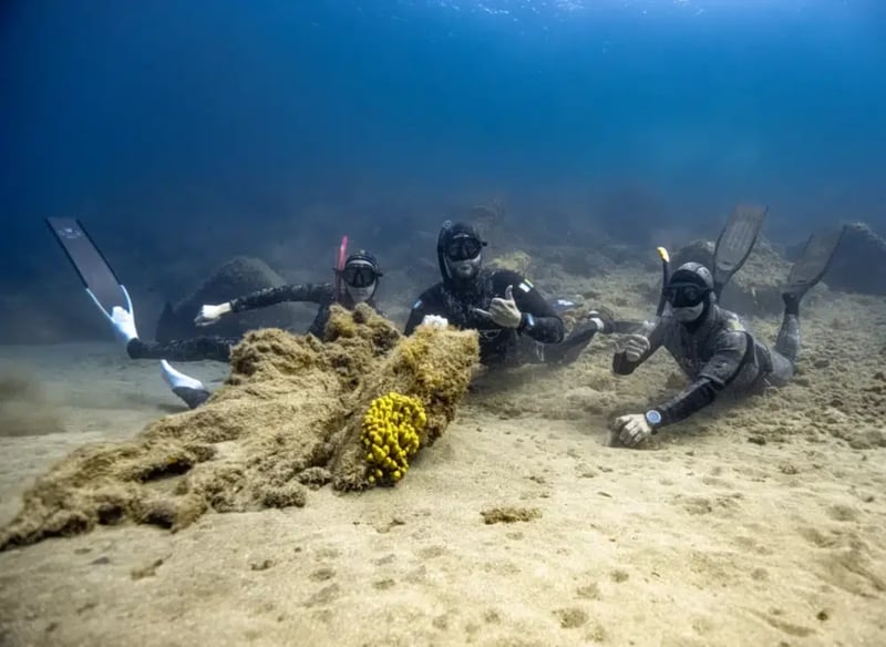 Introduction to Freediving in Lanzarote gallery 11