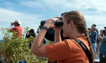 Atlas Mountains Hike and Birdwatching in Morocco, photo 3