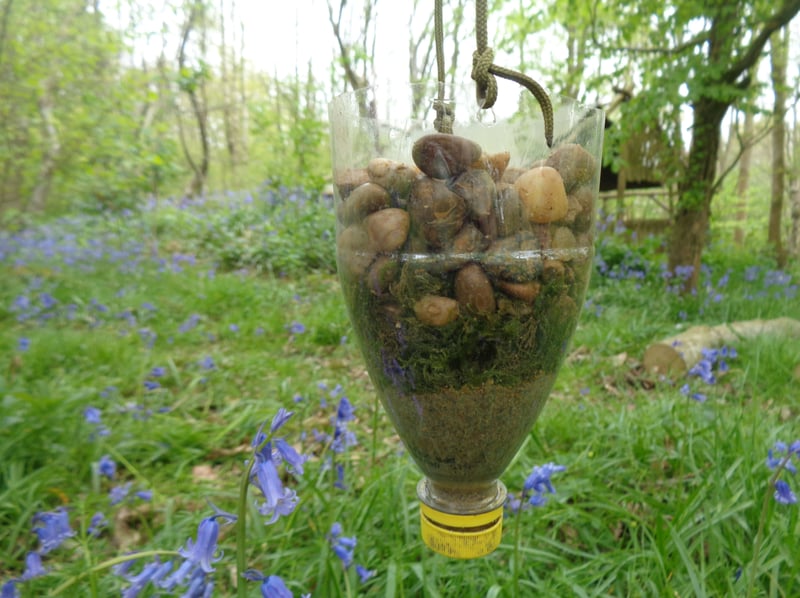 2-Day Bushcraft Course in Kent gallery 9
