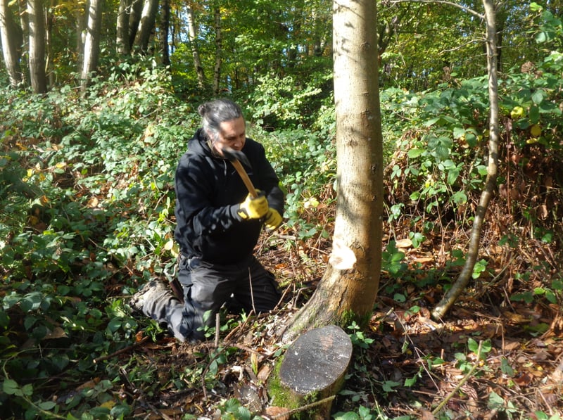 5-Day Bushcraft Course in Kent, photo 4