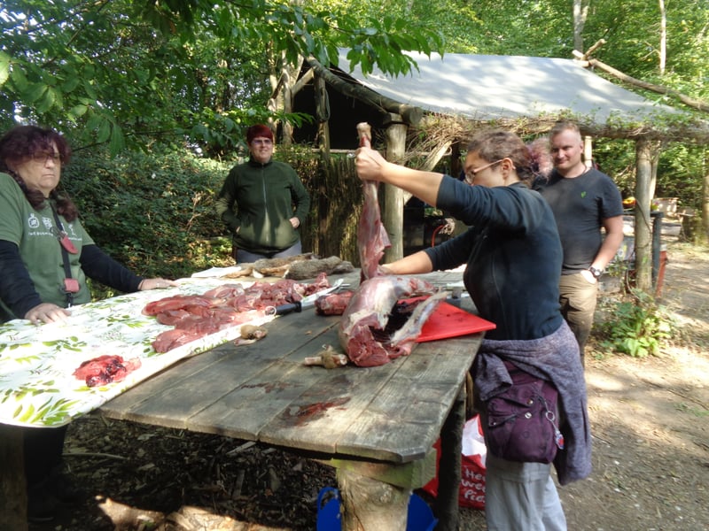 Deer Butchery Course in Kent gallery 6