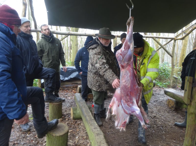 Deer Butchery Course in Kent gallery 7