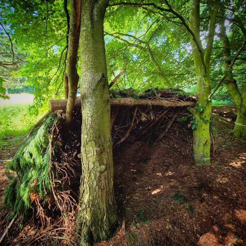 ‘Thrive Outdoors’ Full Day Bushcraft Course – Vogrie Country Park, Near Edinburgh gallery 3