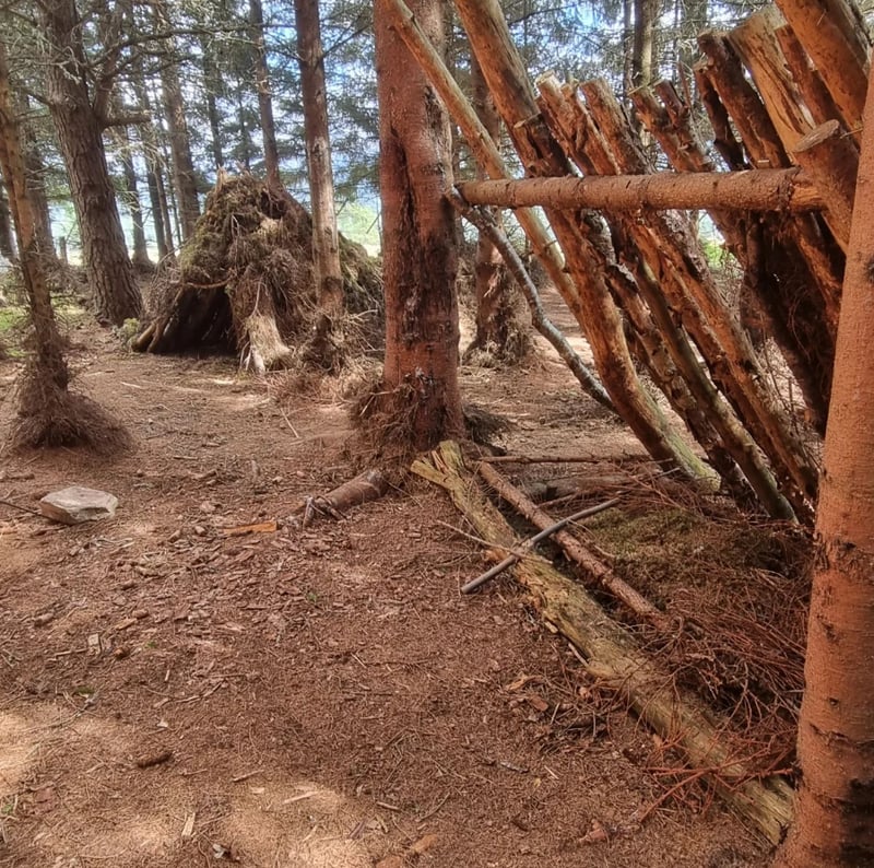Family Bushcraft Day – Vogrie Country Park, Near Edinburgh gallery 7