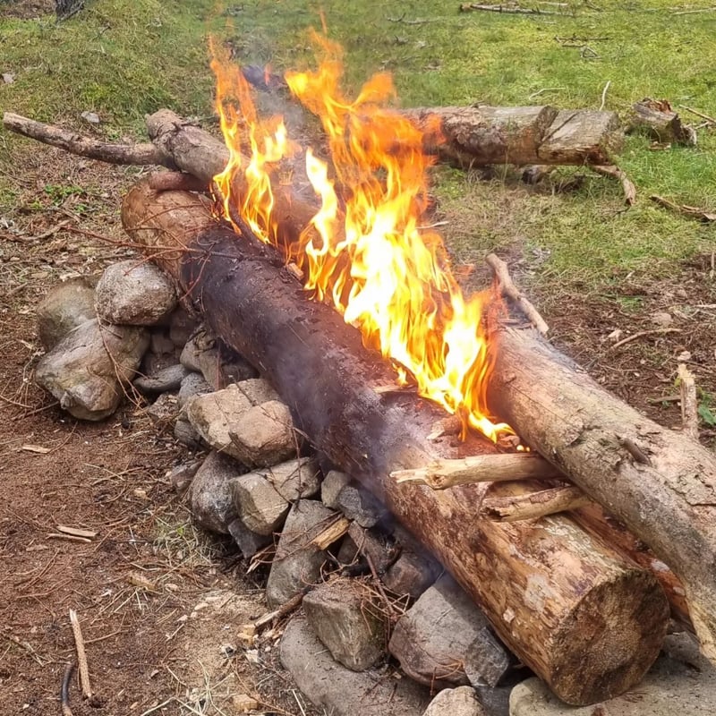 ‘Thrive Outdoors’ Full Day Bushcraft Course – Vogrie Country Park, Near Edinburgh, photo 5