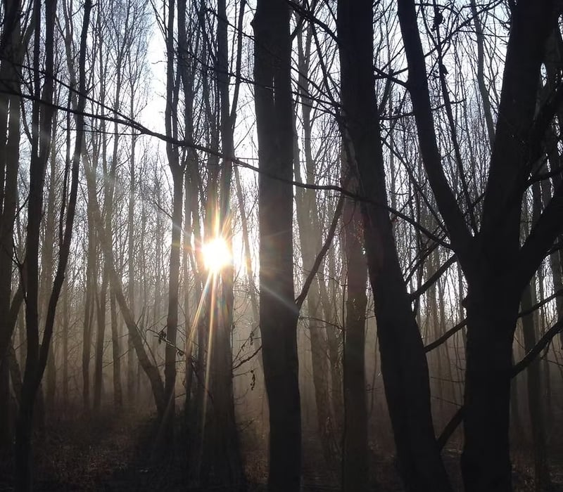Private One-to-One Survival Courses in Croydon, London gallery 6