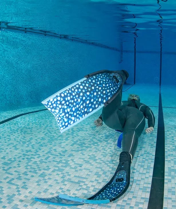 Open Water Freediver FREe-Learning Course, photo 5