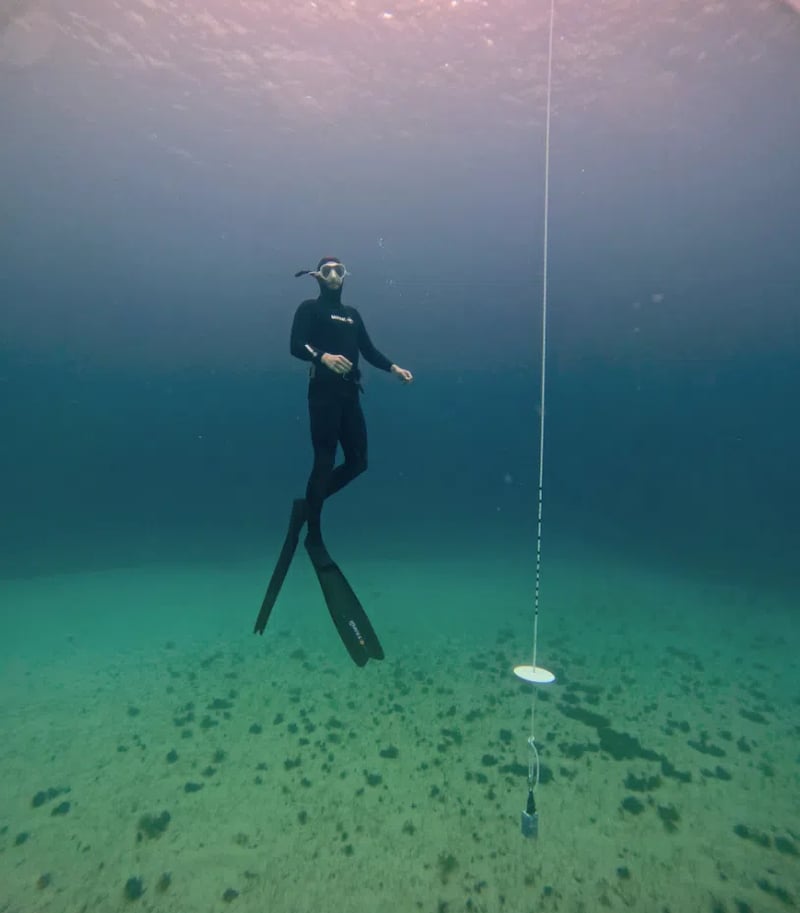 Open Water Freediver FREe-Learning Course gallery 2