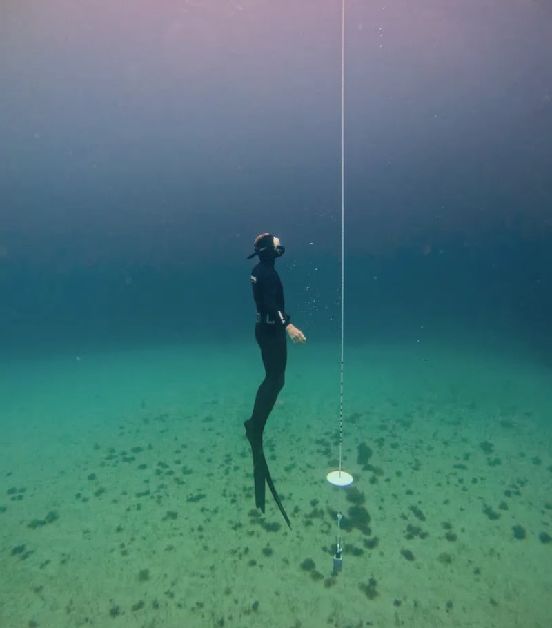 Open Water Freediver FREe-Learning Course gallery 3