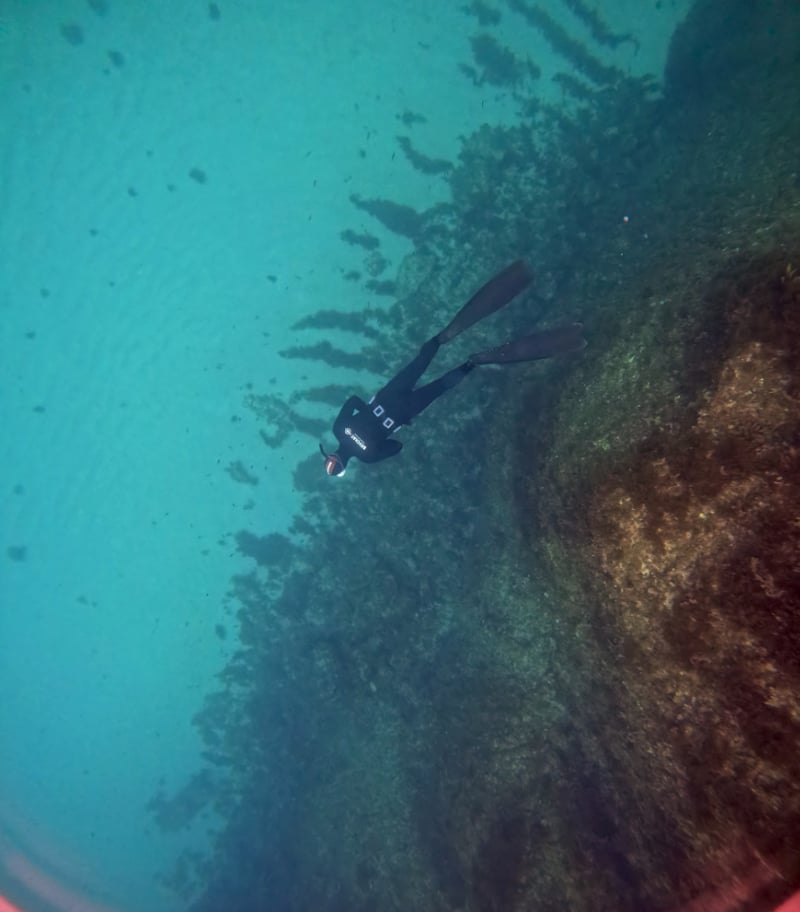 Open Water Freediver FREe-Learning Course gallery 4