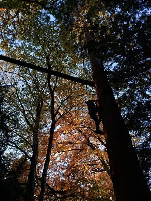 High & Low Ropes Adventure in Harrogate gallery 6