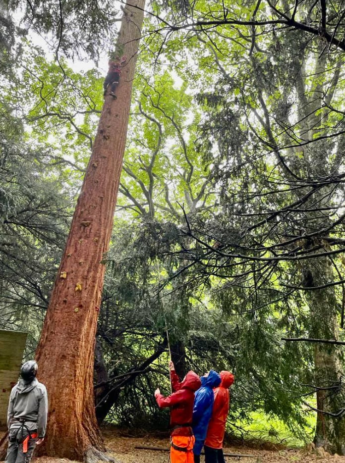 High & Low Ropes Adventure in Harrogate gallery 10