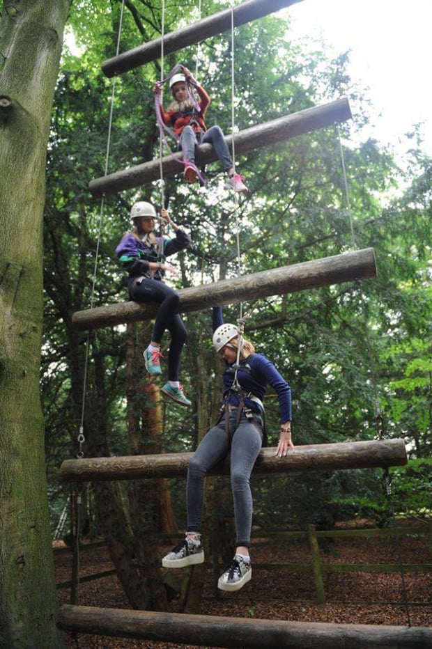 High & Low Ropes Adventure in Harrogate, photo 4