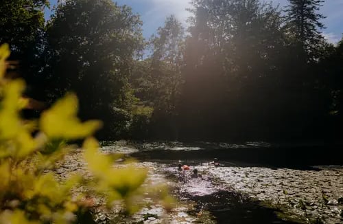 Wild Swimming in Masham, Ripon, photo 2