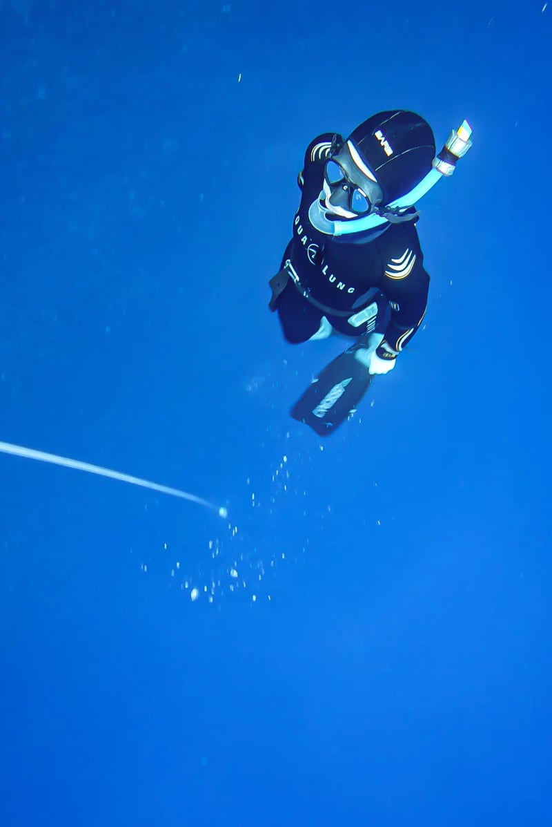 PADI Freediving Course in Shetland, Scotland, photo 4