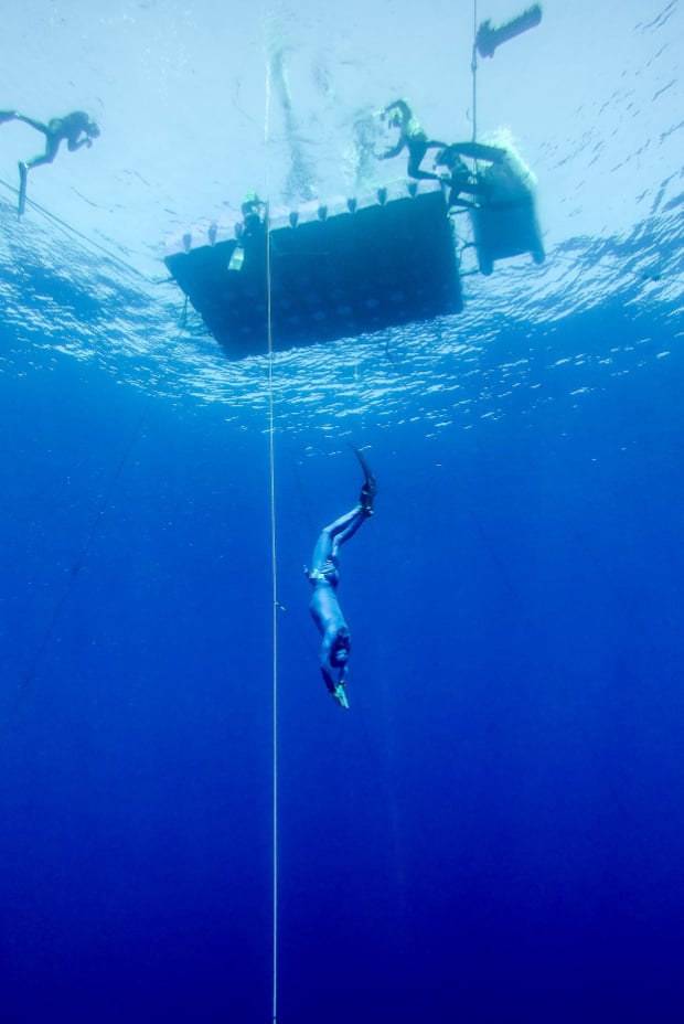 Freediving FREe-learning Online Courses, photo 4
