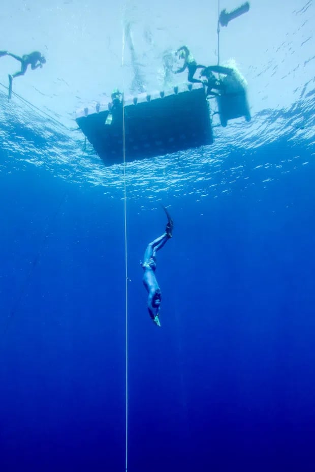 Open Water Freediver FREe-Learning Course, photo 4