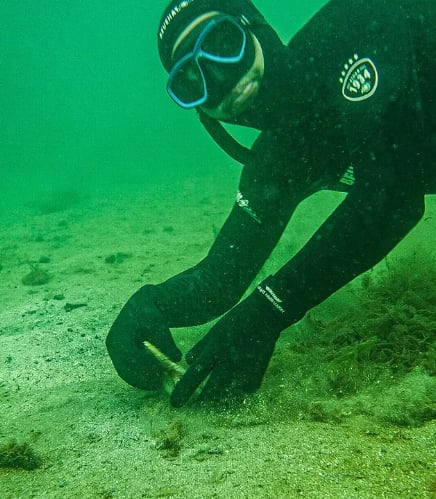 Snorkelling Adventure in Shetland, Scotland, photo 5