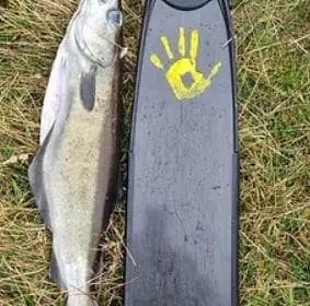 Spearfishing and Foraging Session in Shetland, Scotland, photo 4