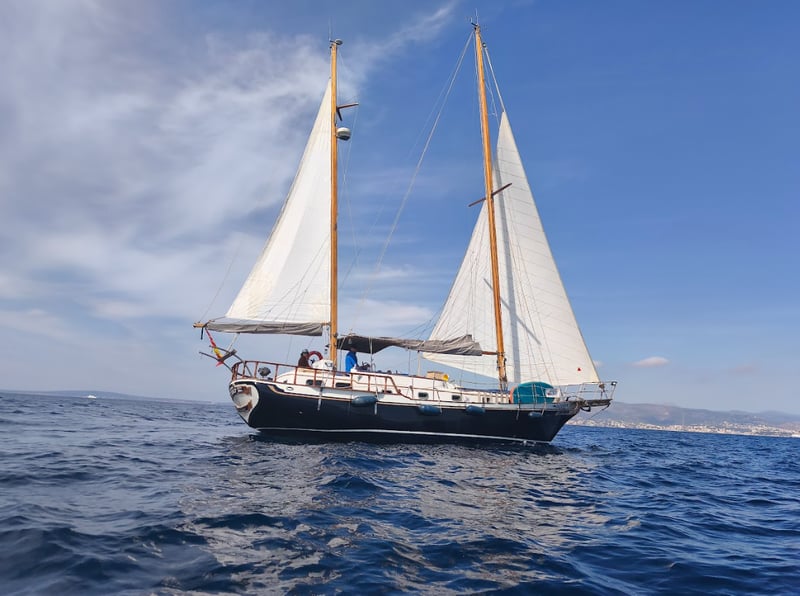 7-Day Digital Detox Sailing Experience from Palma, Mallorca, photo 2