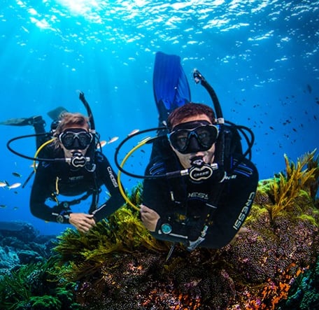 Beginner to Pro Diving Course with PADI Dive Centre in Littlehampton, photo 3