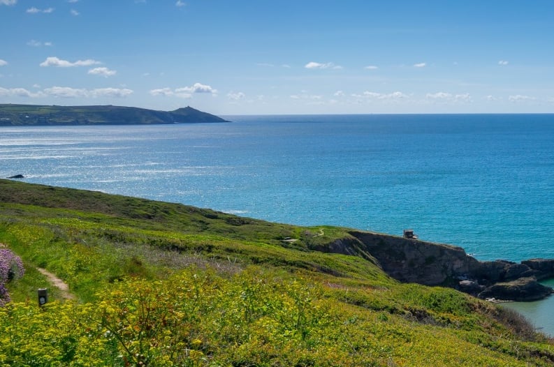 Adult Sailing and Wild Swimming Day from Plymouth – 11 August 2026, photo 5