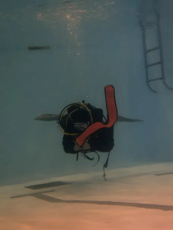 Squid Squad Scuba Diving in Seaton Deleval, photo 5
