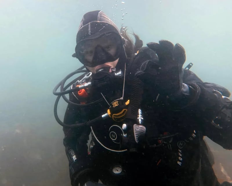 Deep 40 Diver in Gosforth, photo 4