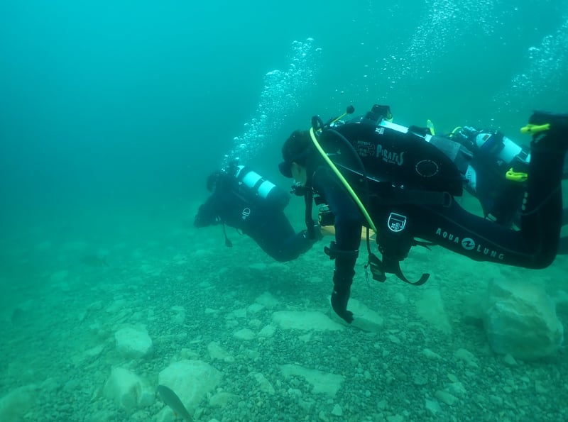Nitrox Diver in Gosforth, photo 2