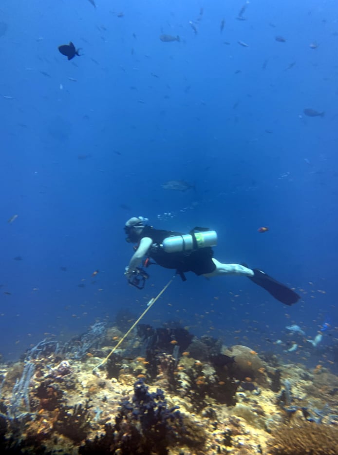Sidemount Diver in Gosforth, photo 3
