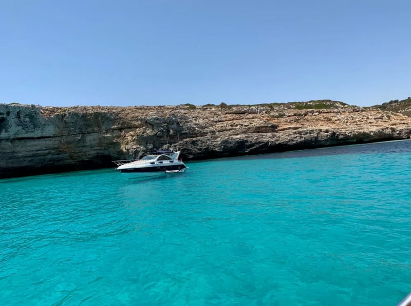 Private Full Day Sailing Trip in Sant Antoni de Portmany, Ibiza, photo 5